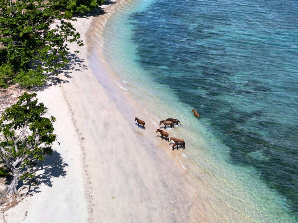 Gili Asahan, Lombok, Indonesie